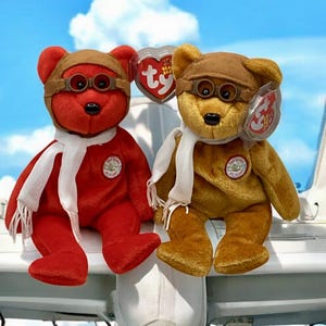 Puede incluir: Dos osos de peluche, uno rojo y otro marrón claro, vestidos de pilotos. Llevan gorros y gafas de aviador marrones, bufandas blancas y parches que dicen "Hall of Fame Albany". Cada oso tiene una etiqueta de corazón Ty.