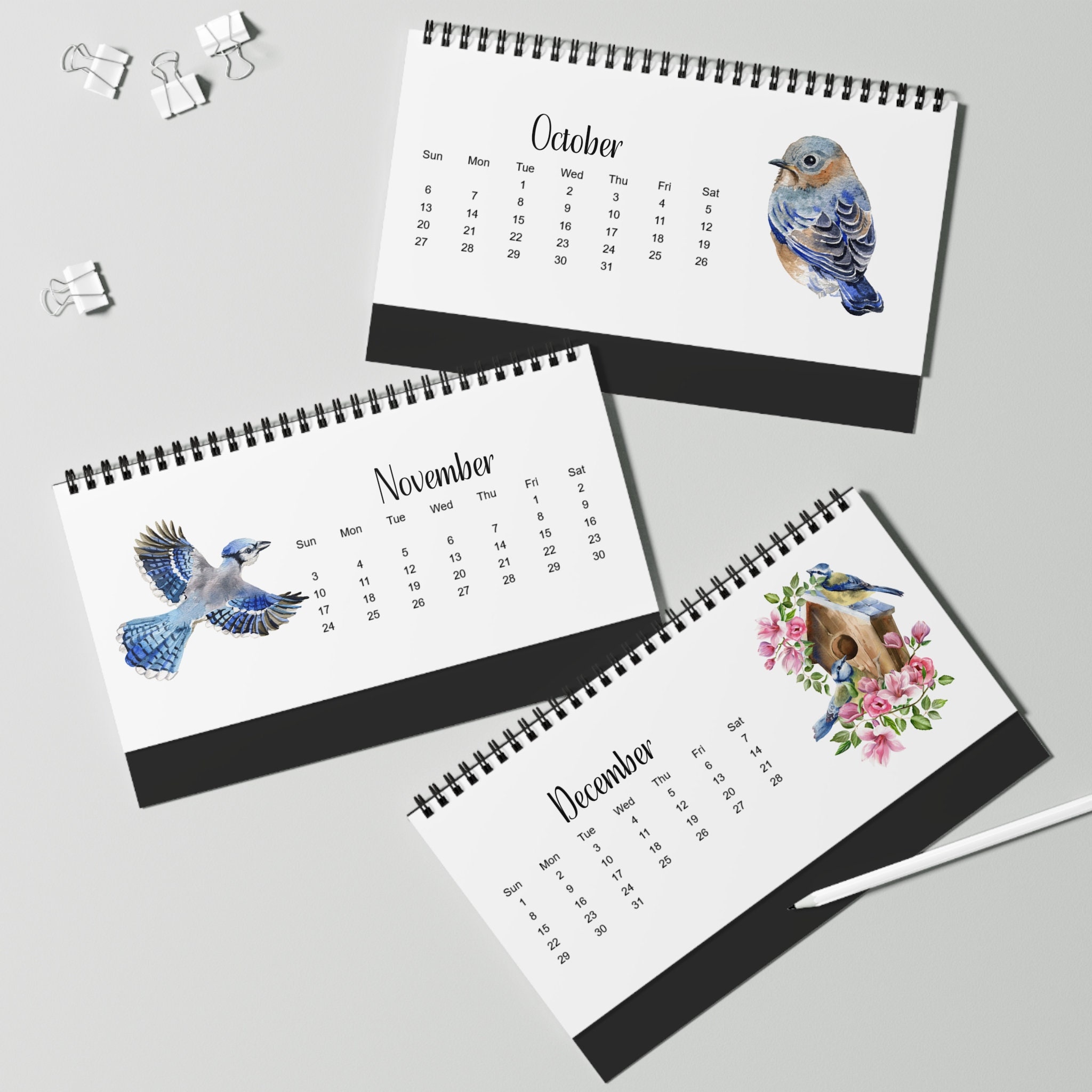 2025 Spiral Desk Calendar 2025 Birds Desk Calendar 12 Month Etsy