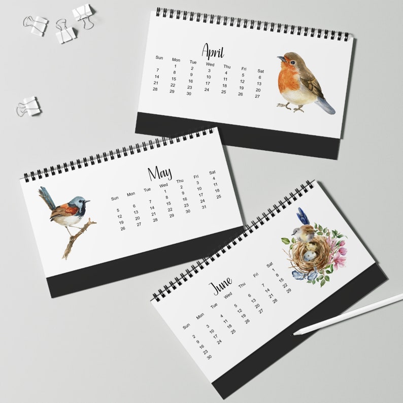 2025 Spiral Desk Calendar, 2025 Birds Desk Calendar, 12 Month Calendar