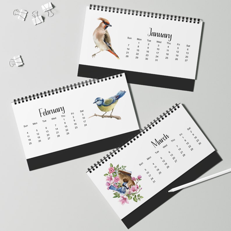 2025 Spiral Desk Calendar 2025 Birds Desk Calendar 12 Month Etsy