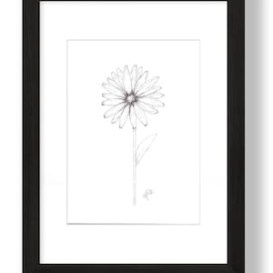 Birth Month, Flower, March, Daffodil, Black Ink, Print