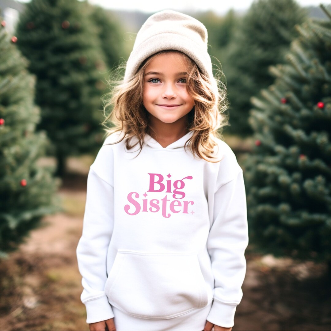 Big Sister Sweatshirt Big Sister Toddler Hoodie Big Sis Sweatshirt Girls Hoodies Toddler Older Sibling Baby Announcement Sibling Shirt Etsy