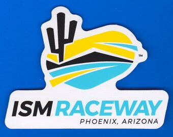 10 Large Racing Decal Stickers - Drag Race & NASCAR Style, 5.5 Inches Wide Each (Multi-Color)