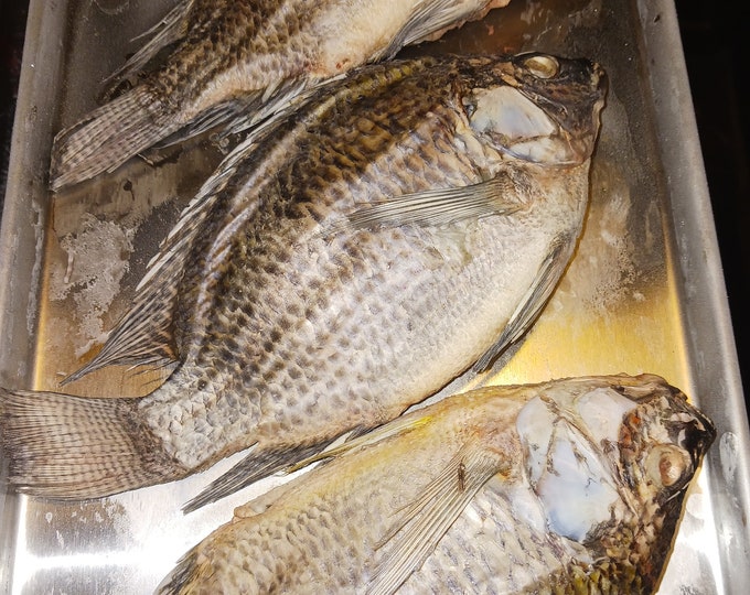 Raw Freeze Dried Whole Tilapia Pet Treats Human Grade for Your Cat, Dog