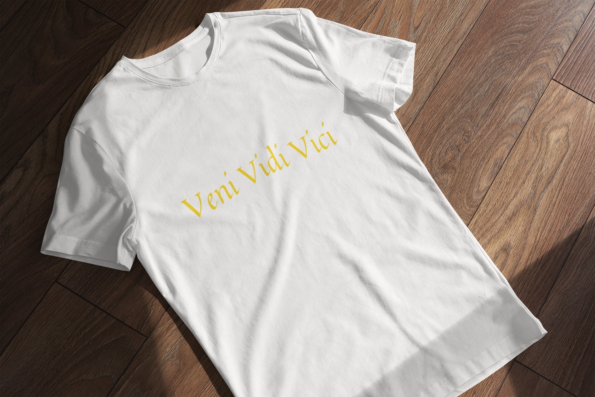 Camiseta Veni Vidi Vici - branca - estampa grande - ZOO