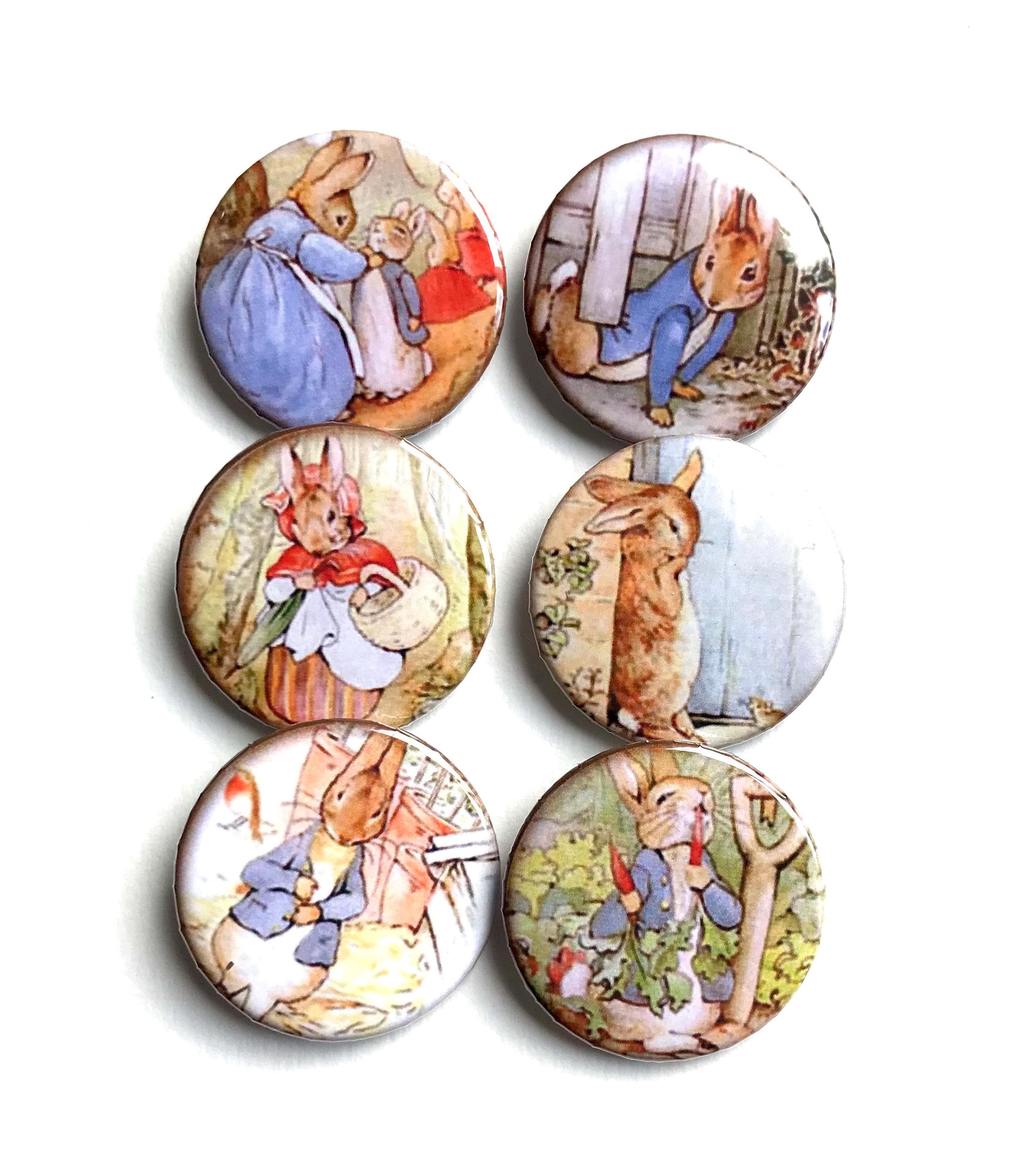 Peter Rabbit Pins/peter Rabbit Badges/set of 6 Peter Rabbit Pins/peter ...