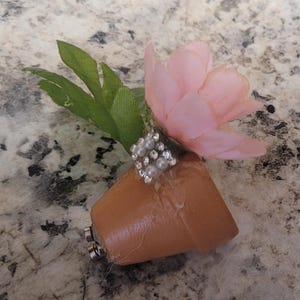 Jumping Spider Flower Pot Hide