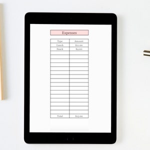 Puede incluir: Una tableta digital que muestra una hoja de c&aacute;lculo simple de seguimiento de gastos con columnas para "Tipo" y "Cantidad". La hoja de c&aacute;lculo enumera dos gastos: "Almuerzo" por $ 11.00 y "Merienda" por $ 4.00. Los gastos totales son $ 15.00.