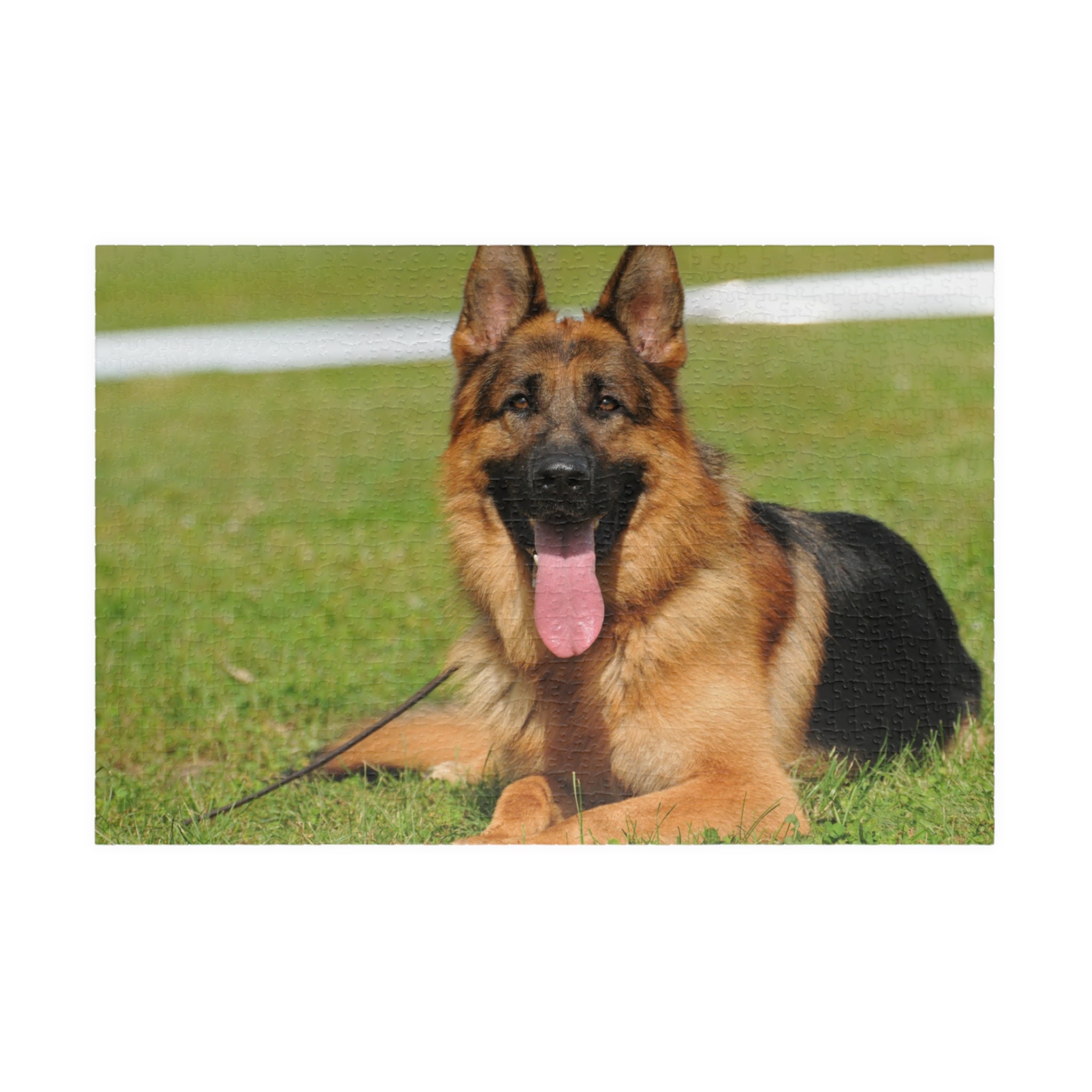 Wooden Puzzle German Shepherd Alsatian Animals Wildlife 300-Slice Puzzle for All Ages Gifts, Size: 300PCS, Red
