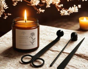 Candle Care Set with Wick Trimmer, Snuffer & Dipper, Soy Wax Candle | January Carnation