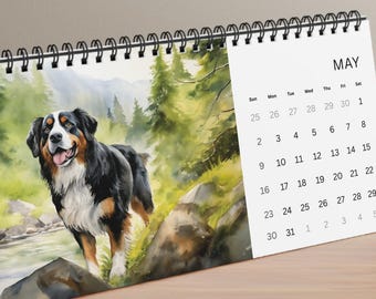 May include: A spiral-bound desk calendar featuring a watercolor illustration of a Bernese Mountain Dog standing near a stream in a forest. The right side displays the month of May with a grid of dates from 1 to 31 in black text on white.