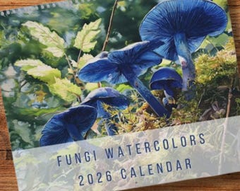 Fungi Wall Calendar - Fungi Calendar featuring 12 watercolors of iconic Fungi, gift for mushroomcore fans, includes common and Latin names