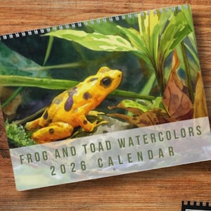 May include: A spiral-bound calendar featuring watercolor paintings of frogs and toads in their natural habitats. The cover displays a yellow frog with black spots. The calendar is labeled "FROG AND TOAD WATERCOLORS 2026 CALENDAR".