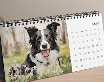May include: A spiral-bound desk calendar featuring a watercolor illustration of a black and white Border Collie dog sitting in a field of white flowers. The right side displays the month of May with a grid of dates from 1 to 31 in black text.
