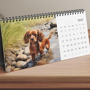 Ruby Cavalier King Charles Spaniel Desk Calendar - calendar with 12 watercolors of Ruby CKC Spaniels, gift for King Charles Spaniel owners