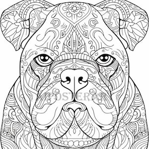 Bulldog Mandala Coloring Sheet for Adults - Printable Dog Coloring Page - Advanced Coloring - High Res 1792x2688 pixels