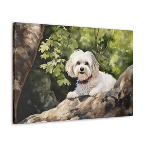 Havanese Watercolor Printed Canvas - Wall Art gift for Havanese owner - Havanese dog resting under the shade of a large tree