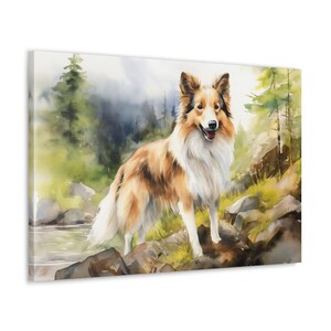 Shetland Sheepdog in the Cairngorms Canvas Art - Frameless Wall Art gift for Shetland Sheepdog owner