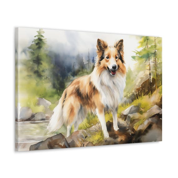 Shetland Sheepdog in the Cairngorms Canvas Art Frameless Wall