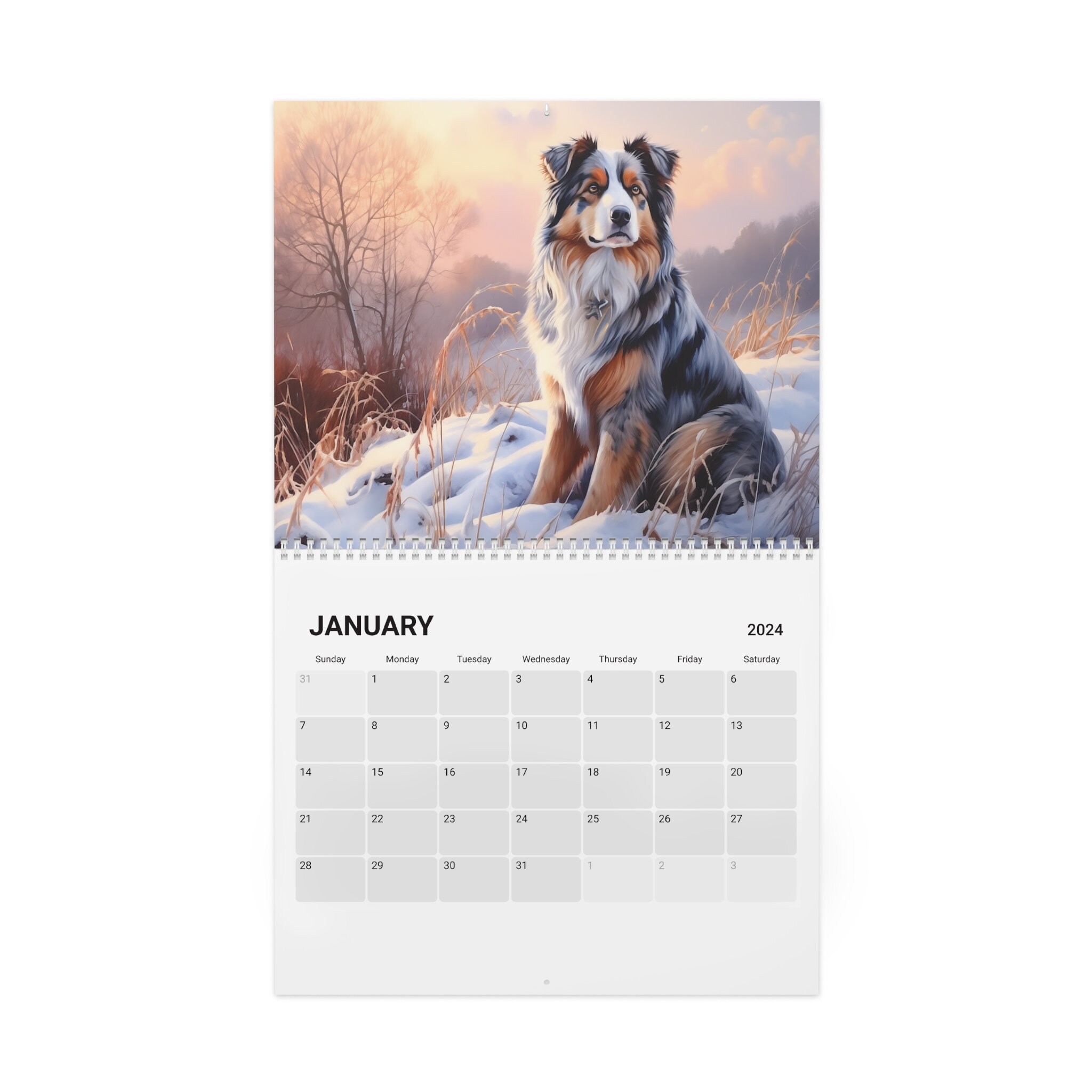 Australian Shepherds Calendar 2024 Ideal Gift for Australian Shepherd