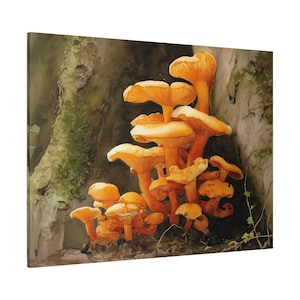 Hongos Jack-o-Lantern en acuarela impresos en lienzo: regalo de arte mural para los amantes de los hongos, Omphalotus Illudens creciendo en la base de un roble