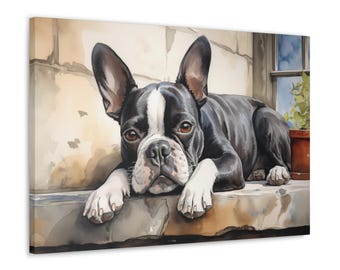 Boston Terrier aquarel canvasafdruk - Wall Art cadeau voor eigenaar Boston Terrier - Boston Terrier loungen op een zonovergoten vensterbank