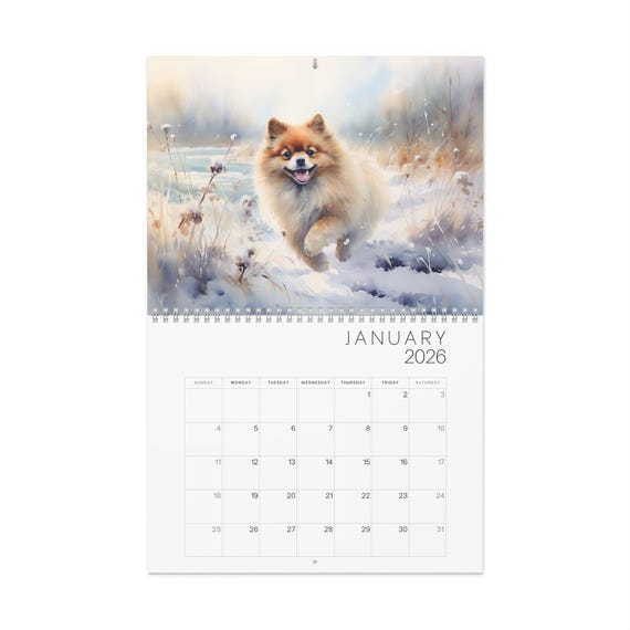 Pomeranian Calendar 2026 Needed | Order Easily Online