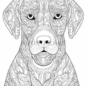 Labrador Dog Coloring Sheet for Adults - Printable Coloring Page of Labrador - Mandala Coloring Dog - Advanced Coloring - High Res 1792x2688