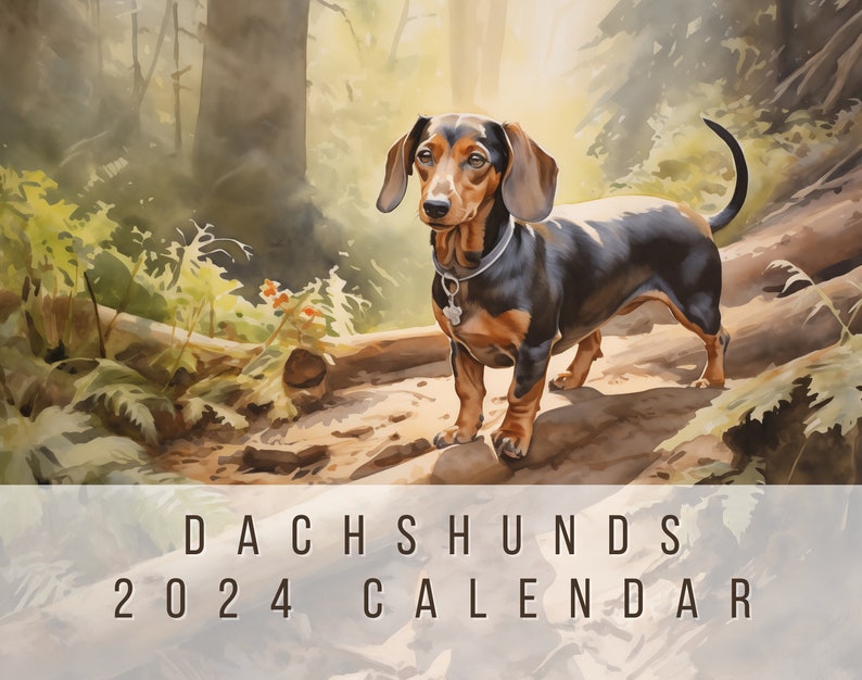 Dachshunds Wall Calendar 2024 Gift for Dachshund Owner, 12 Beautiful