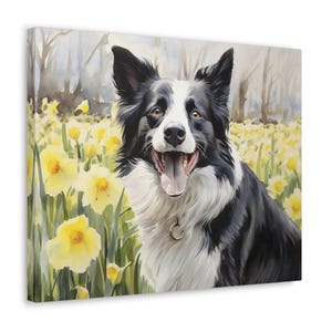 Border Collie Wasserfarben Druck auf Leinwand - Rahmenloses Geschenk für Border Collie Besitzer - Border Collie und Frühlingsnarzissen