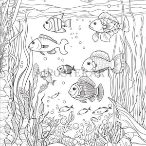 Unterwasser Malvorlage für Erwachsene - Ausmalseite zum Ausdrucken - Fortgeschrittene Färbung - High Res 1792x2686 Pixel - Fische und Unterwasserpflanzen