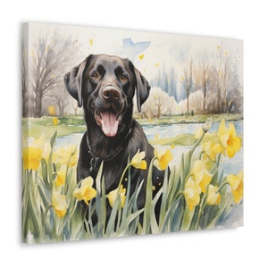 Black Labrador Watercolor Printed on Canvas - Frameless Wall Art gift for Labrador owner, Black Labrador surrounded by daffodils