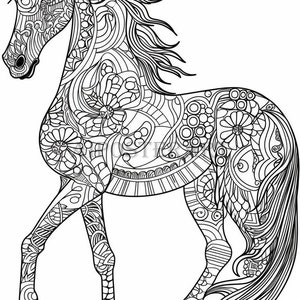 Mandala Horse Coloring Page for Adults - Printable Coloring Sheet - Patterned Horse Coloring Image - High Res, 5376x8064 - Detailed Horse