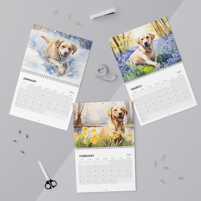 Labrador Calendar 2024 Ideal Gift for Labrador Owners, a Wall Calendar