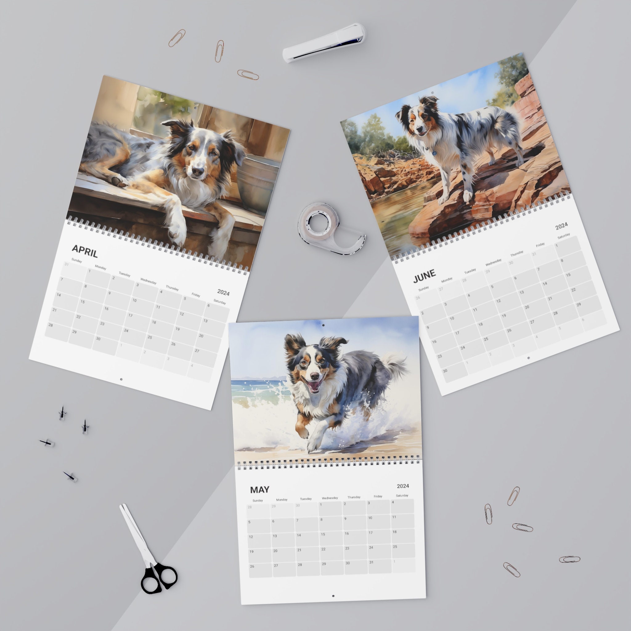 Australian Shepherds Calendar 2024 Ideal Gift for Australian Shepherd