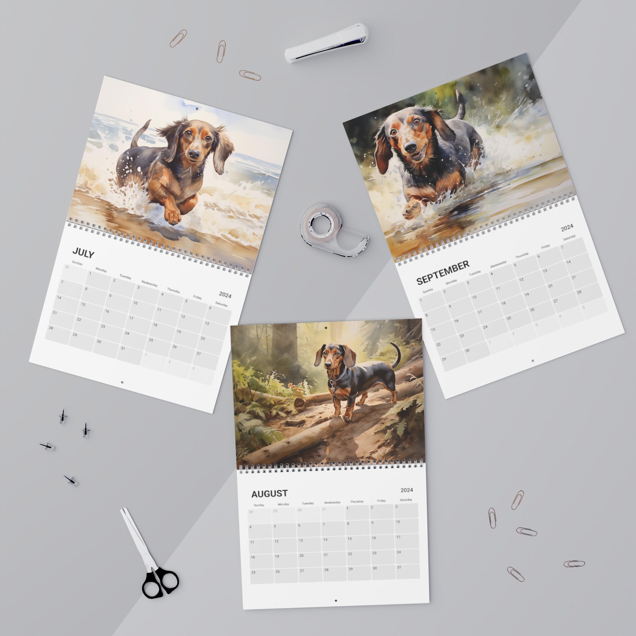 Dachshunds Wall Calendar 2024 Gift for Dachshund Owner, 12 Beautiful