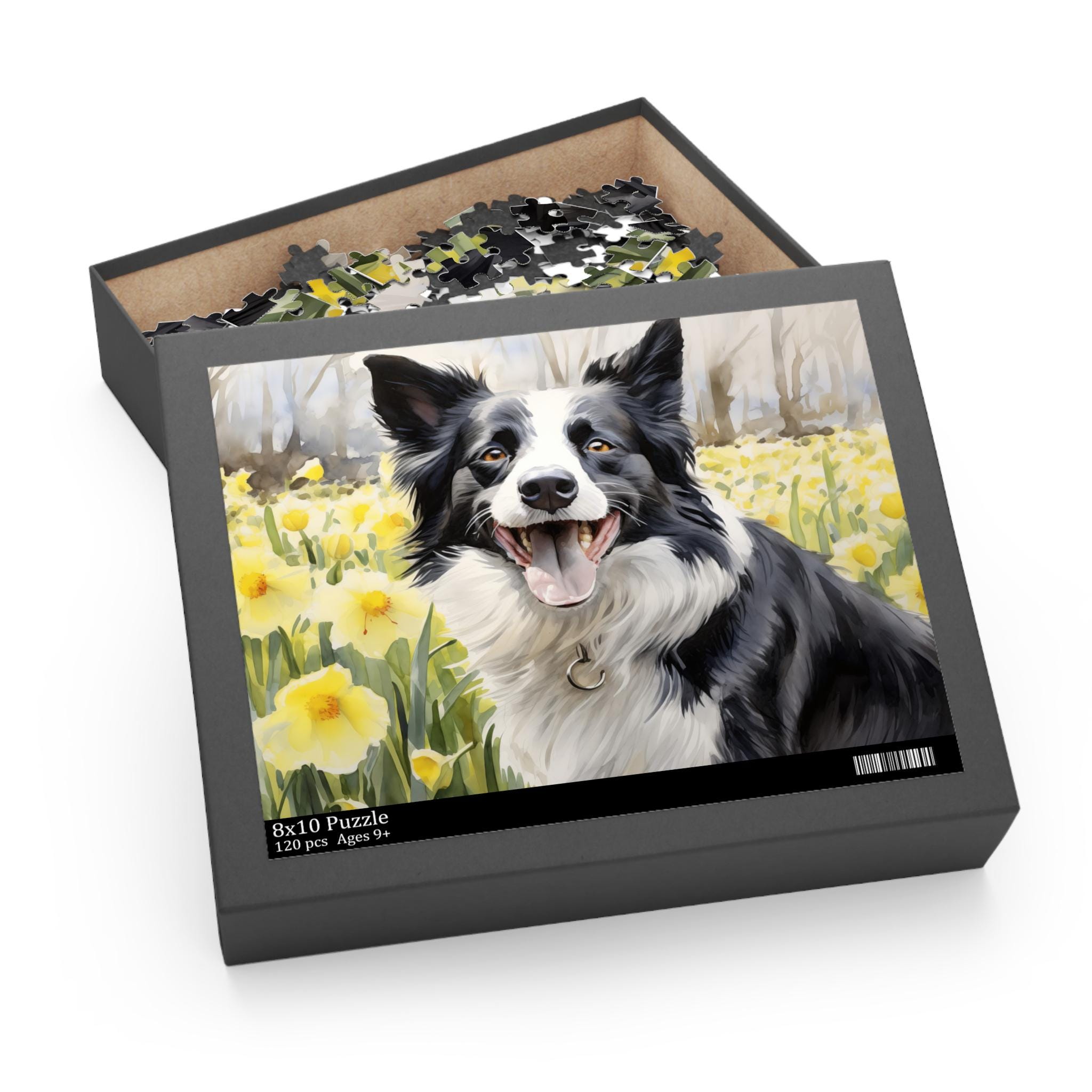 ボーダーコリーと水仙のジグソーパズル（120、252、500ピース