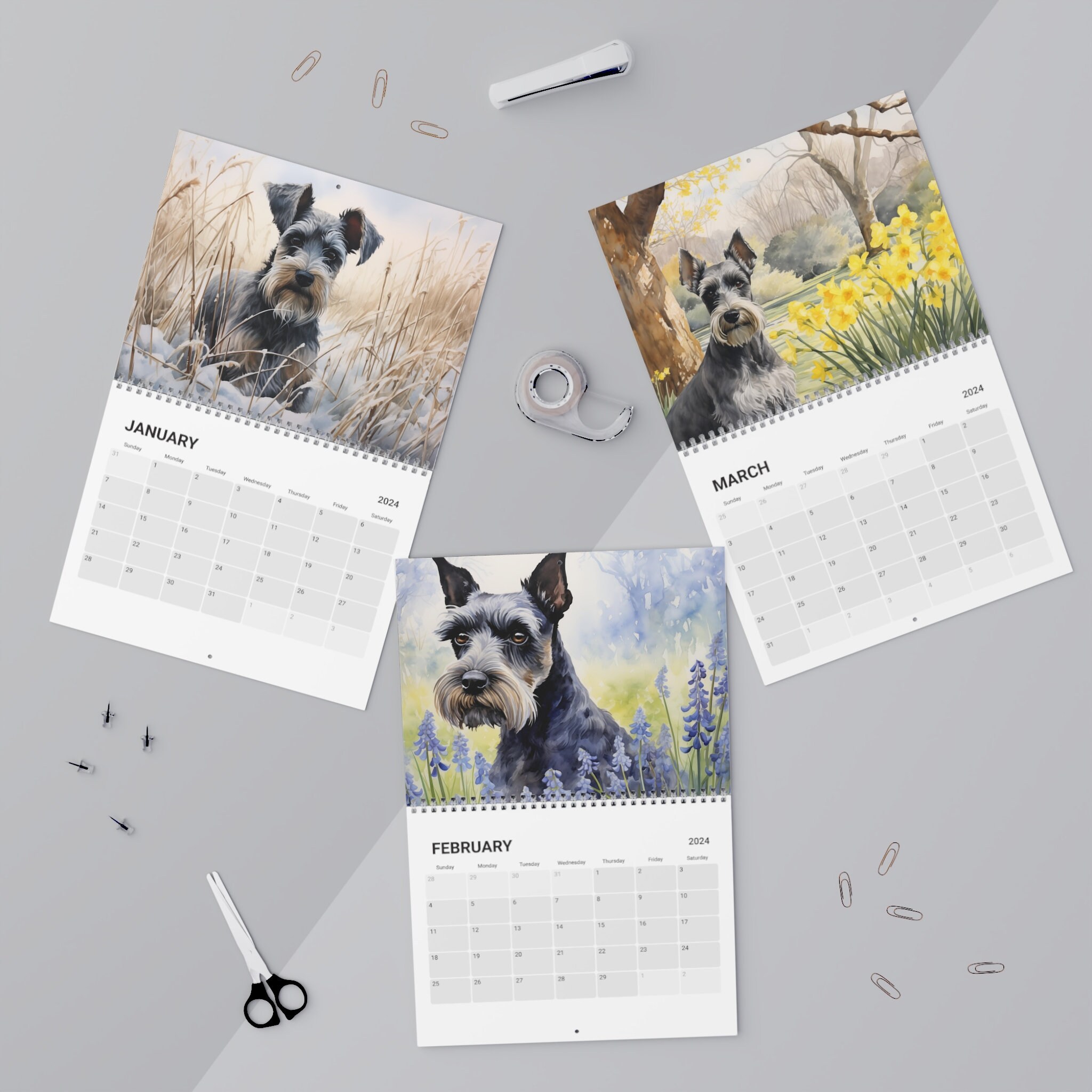Miniature Schnauzer Calendar 2024 Ideal Gift for Miniature Schnauzer