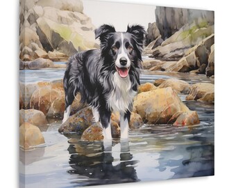 May include: A black and white border collie dog stands in a shallow stream of water. The dog is smiling and has its tongue sticking out. The dog is surrounded by rocks and the water is clear and blue.