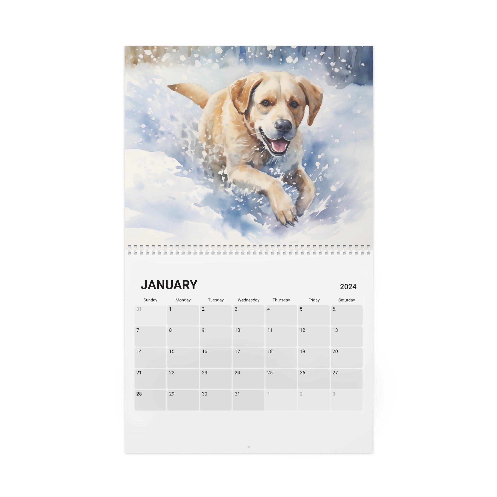 Labrador Calendar 2024 Ideal Gift for Labrador Owners, a Wall Calendar