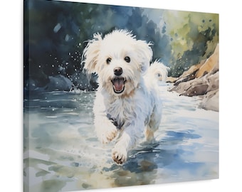Maltese Dog Splashing in Stream Canvas Print - Playful Dog Wall Art for Maltese Lovers