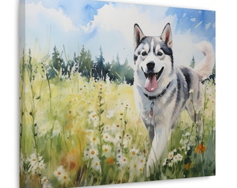 Op de afbeelding: Een aquarel van een gelukkige Siberische Husky die door een veld met witte madeliefjes rent. De hond is grijs en wit met blauwe ogen en een roze tong die uitsteekt. De achtergrond is een aquarel van een blauwe lucht en groene bomen.
