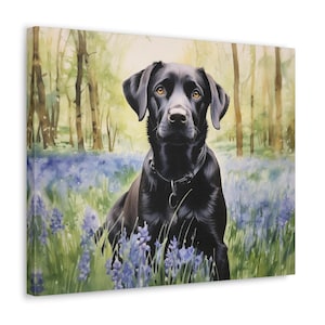 Black Labrador Watercolor Printed Canvas - Frameless Wall Art gift for Black Labrador owner, Black Labrador and Woodland Bluebells