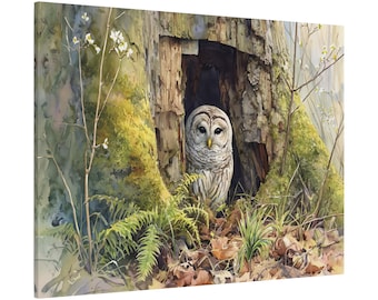 Búho barrado en acuarela impresa en lienzo: regalo de arte mural para los amantes de los búhos, búho barrado mirando desde el hueco de un árbol en un bosque húmedo