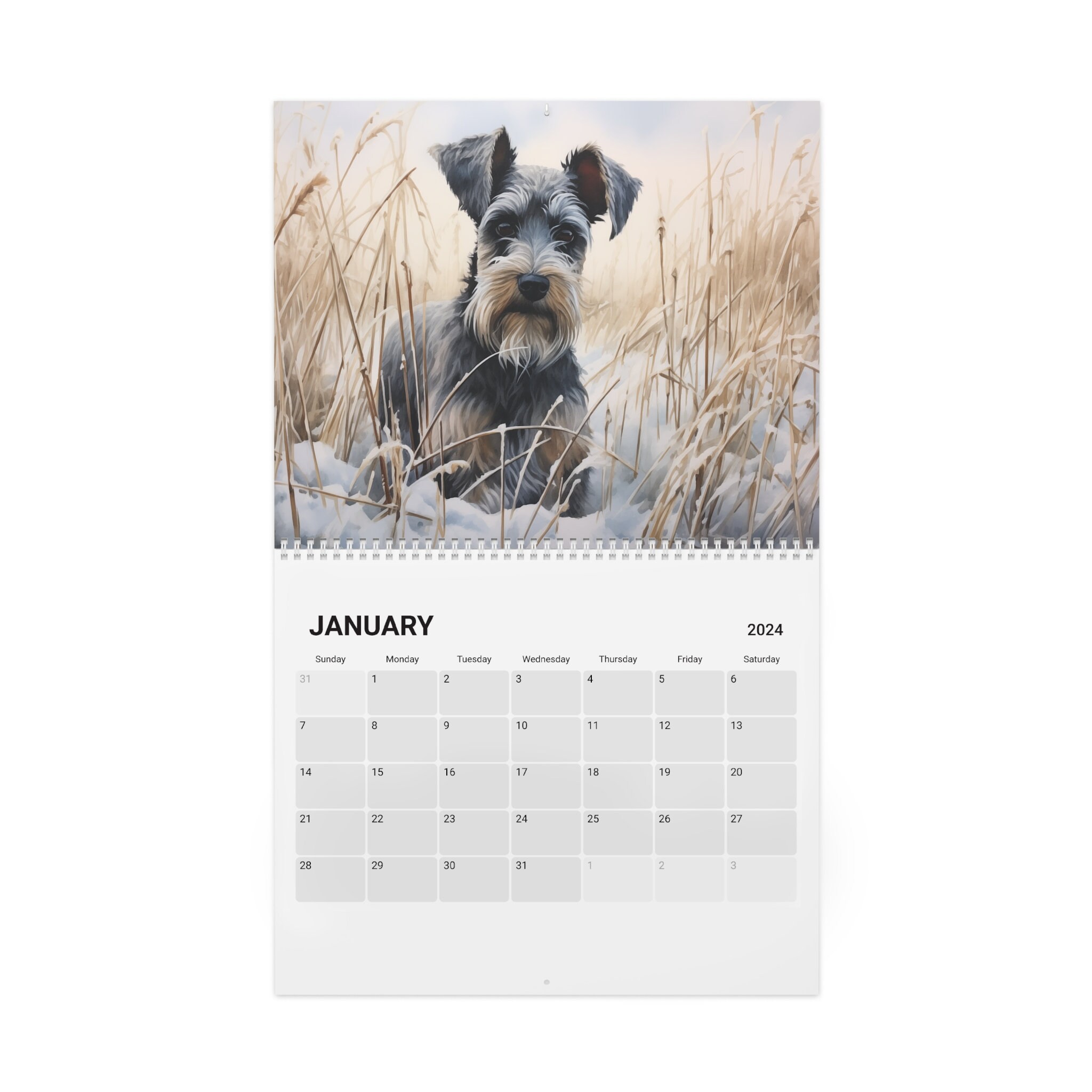 Miniature Schnauzer Calendar 2024 Ideal Gift for Miniature Schnauzer