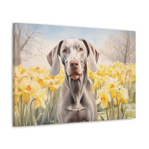 Weimaraner Watercolor Canvas Print - Wall Art gift for Weimaraner owner - Weimaraner surrounded by vibrant daffodils