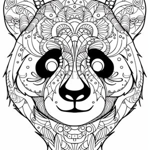 Hoja para colorear de cabeza de panda para niños y adultos - Página para colorear imprimible - Coloración avanzada - Archivo digital - 5376x8064 píxeles