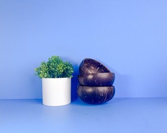 Set of 2 - Coconut Shell Bowls