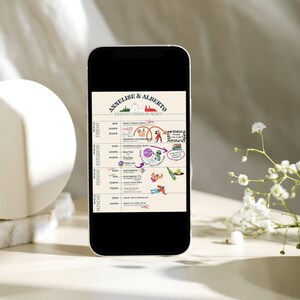 Mexico City Bachelorette / Bachelor Party Itinerary / Customizable / Template / CDMX Itinerary