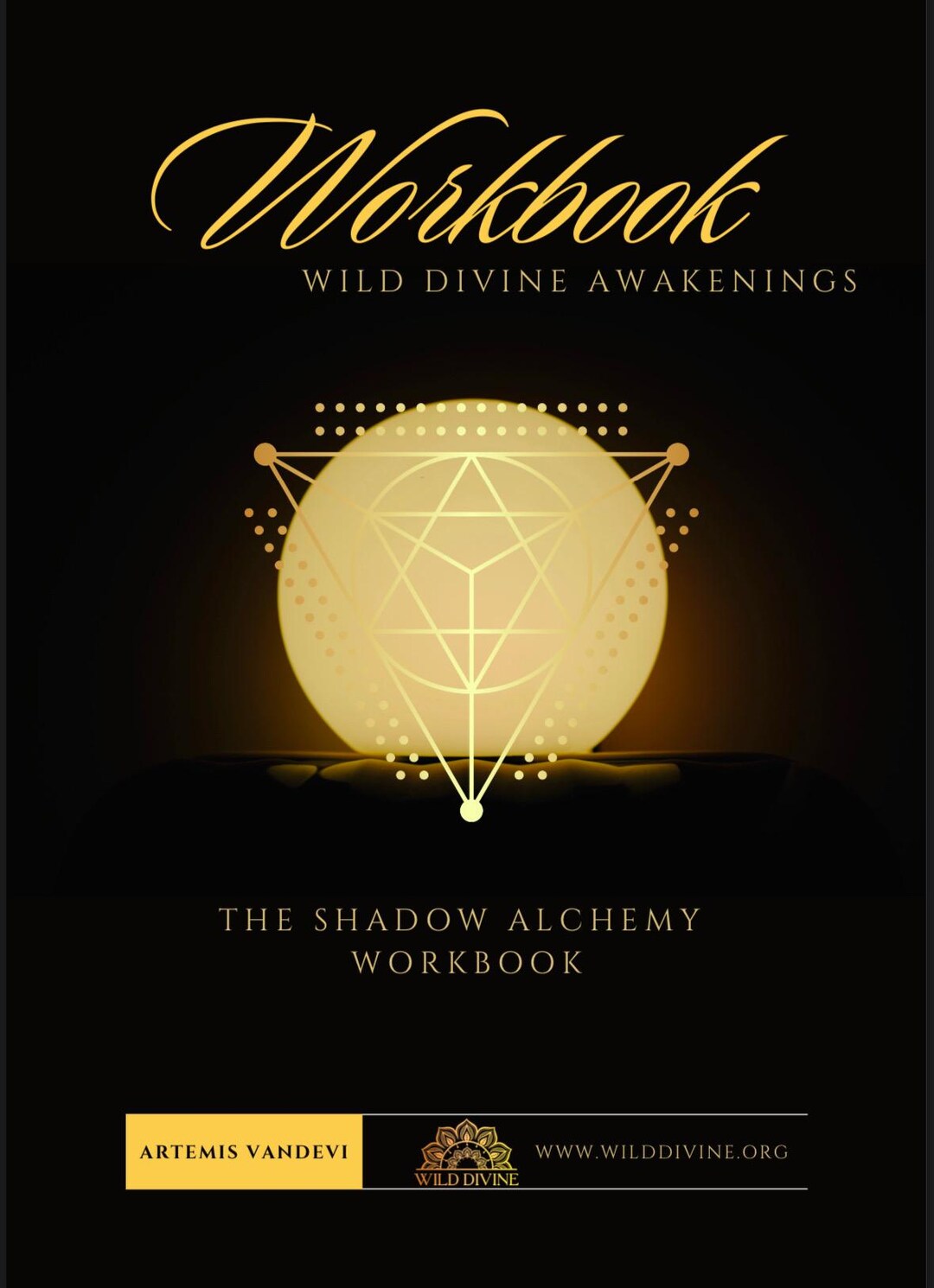 Shadow Alchemy Shadow Alchemy Workbook - Etsy
